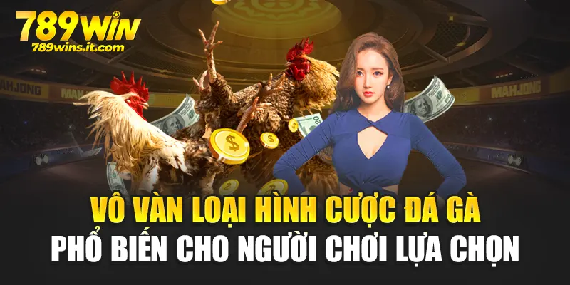 Vô vàn loại hình cược đá gà phổ biến cho người chơi lựa chọn